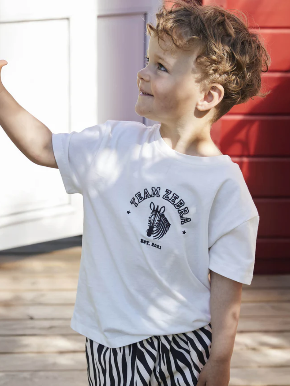 Sommer Zebra T-shirt-T-shirt-Fliink-Aandahls