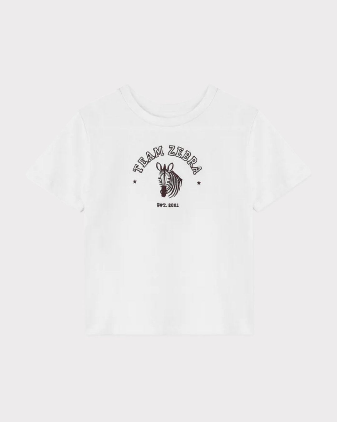 Sommer Zebra T-shirt-T-shirt-Fliink-Aandahls