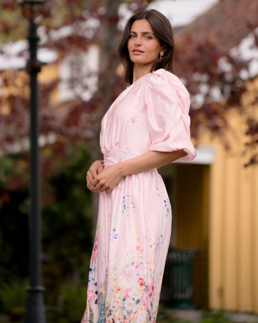 Albina albus