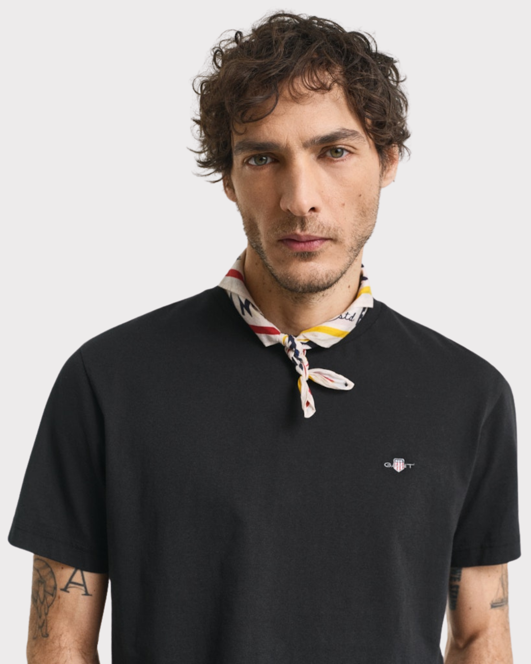 Reg shieldss t-shield
