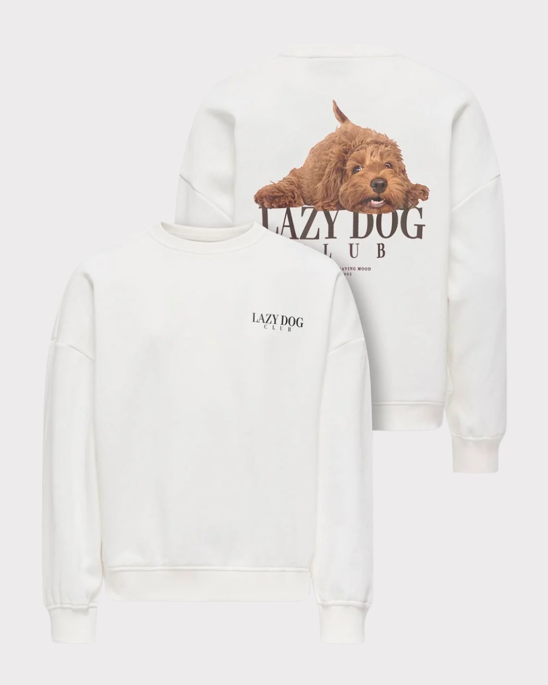 Kogbila L/s Ovz Print O-Neck Swt Noos