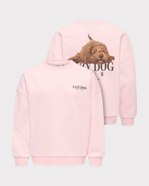 Kogbila L/s Ovz Print O-Neck Swt Noos