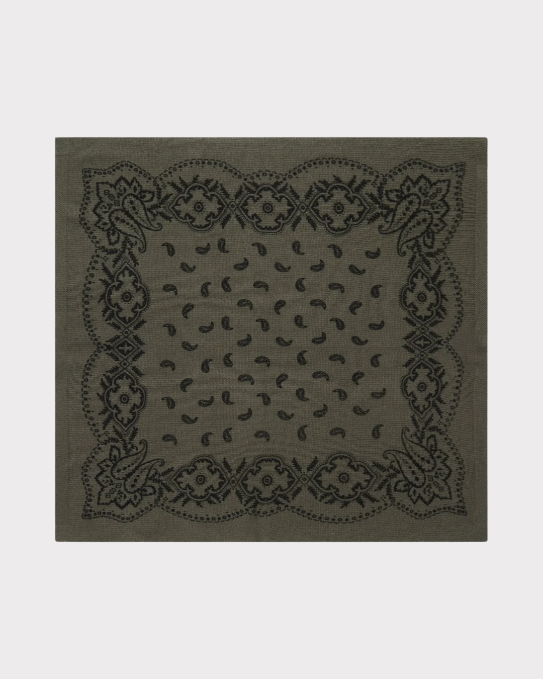 Adelina Paisley Knit Scarf
