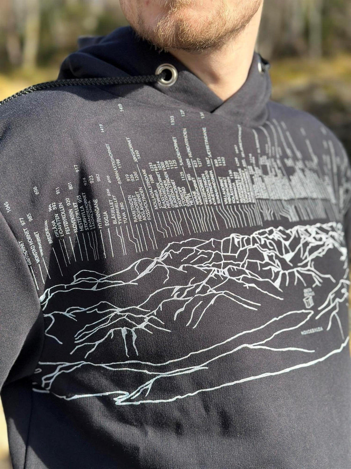 S11 Panorama Hoodie-Genser-Trude Nistad-Aandahls